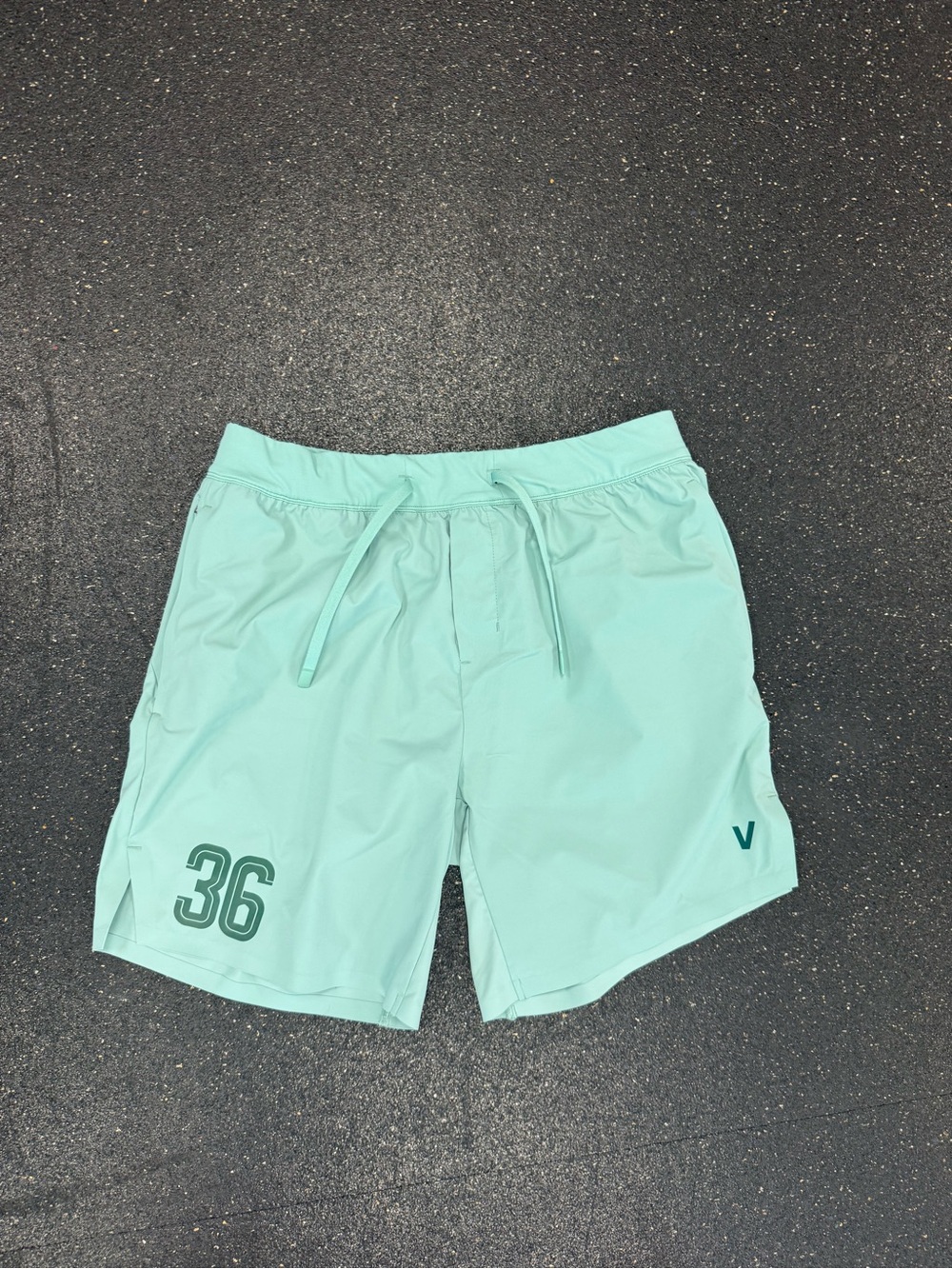 Jay Crouch CrossFit Games Velites Shorts L Mint